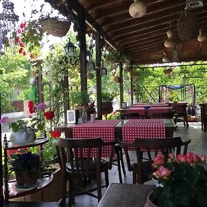 Melodi Edremit (Balikesir)